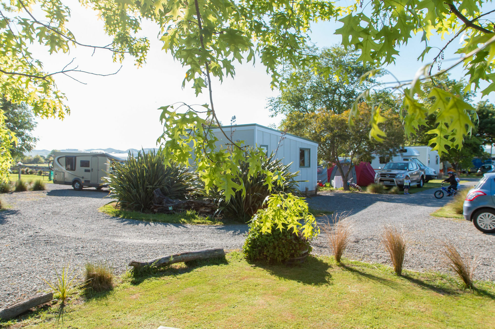 Martinborough Top 10 Holiday Park מראה חיצוני תמונה
